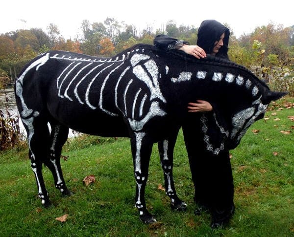 Skeleton Horse Costume