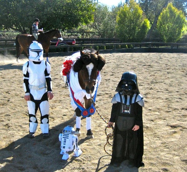 Star Wars Horse Costume