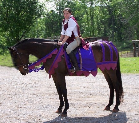 Medieval Horse Costume