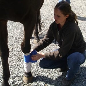 Dr. Mueller applies a leg bandage.