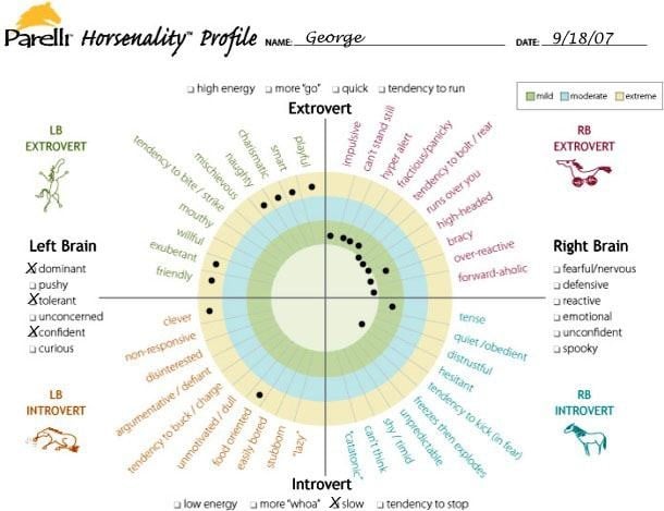 horse personality profile