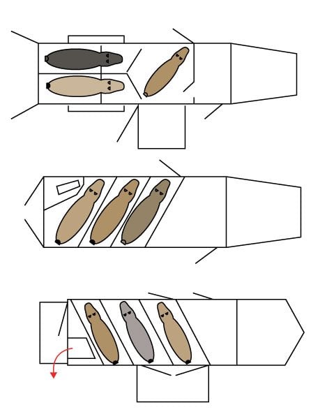 Visual comparisons of 3 horse gooseneck trailer models 