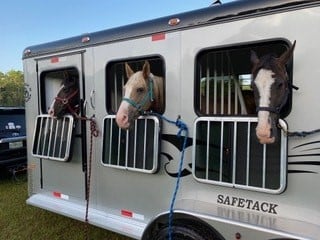 3 horses traveling in a Double D SafeTack horse trailer. 