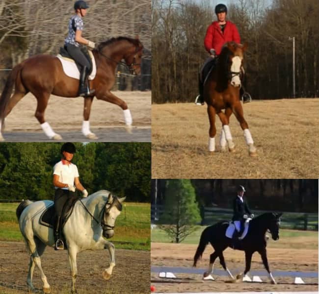 Emily McIntosh - dressage guide