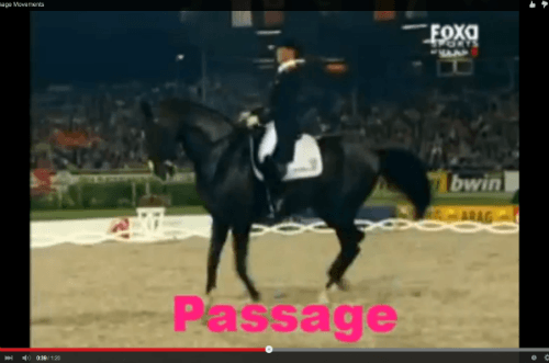 dressage moves video