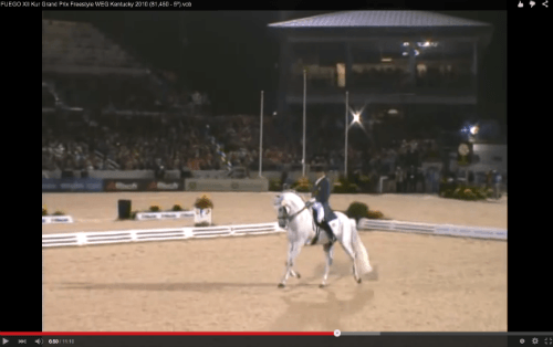 musical freestyle dressage video