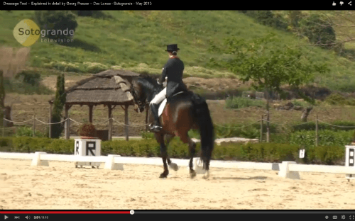 dressage test video