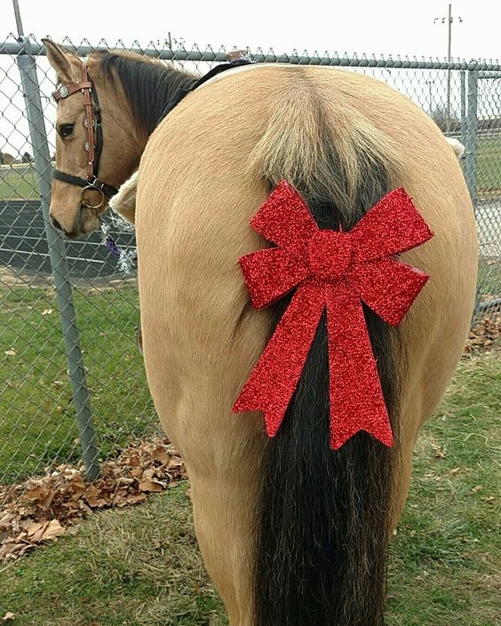 a rear of a horse with a Christmas bow in its tail