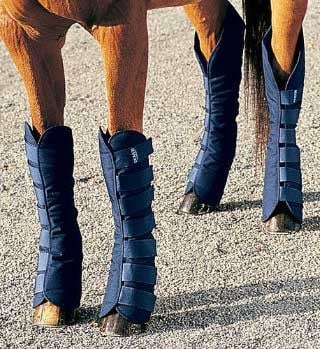 horse leg protection 
