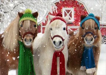 three mini horses in the snow with Christmas gear on 