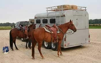 towing a horse trailer 