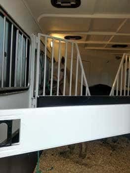 A horse standing inside of a Double D Trailer rear facing horse trailer 