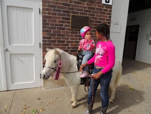 volunteer at healing hearts with horses