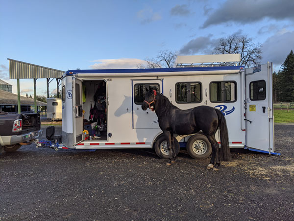 Adriane Double D Horse Trailer