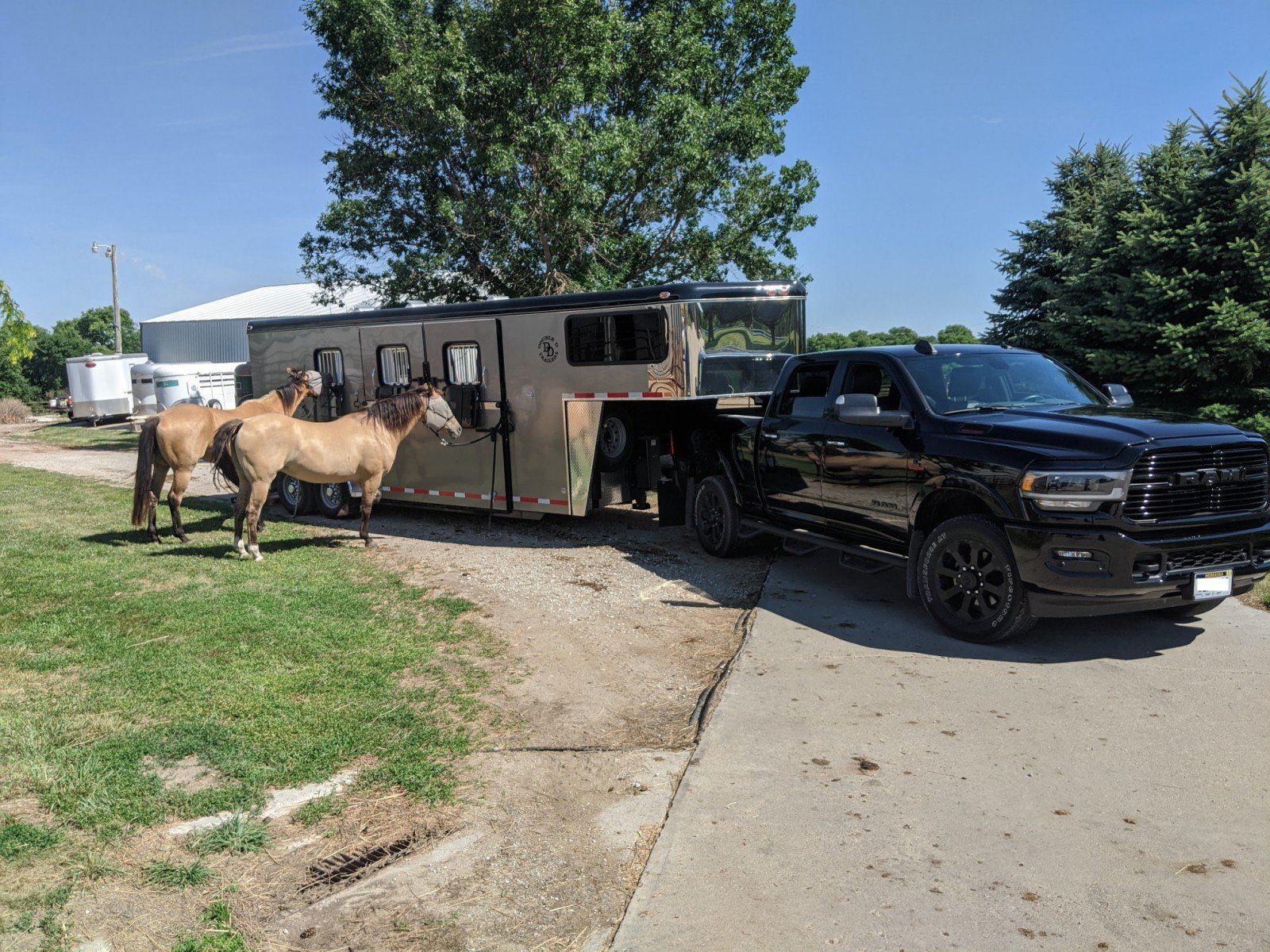A Double D Trailers living quarters horse trailer hitched to a black tow truck. 