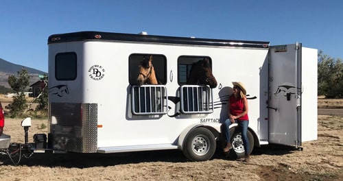 A Double D Trailer owner parked with her two horses hanging their heads out of the window