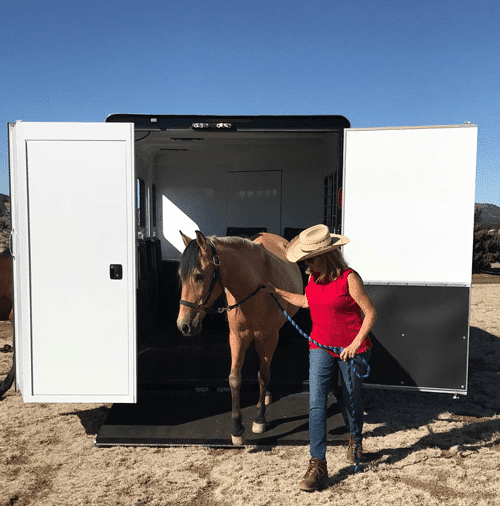 A woman unloading her horse out of a Double D Trailer. 