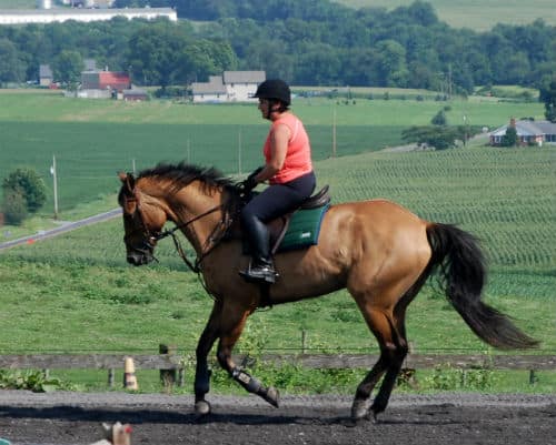 Cindy Gilbert with horse Patrick.