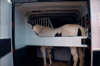 horse trailer safety