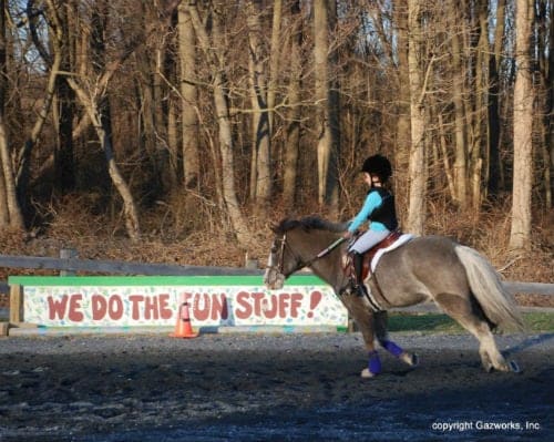 Harvest View Stables has a motto "We do the fun stuff!"