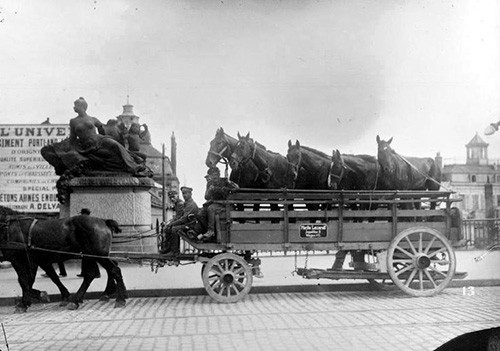 horse ambulance