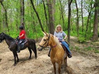 Riding Horses