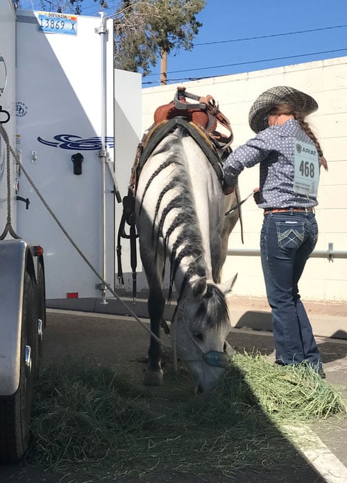 woman and horse