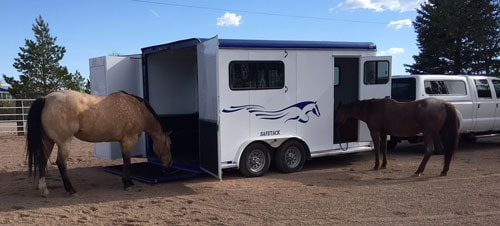 Two horses loading into a Double D Trailers Bumper Pull model. 