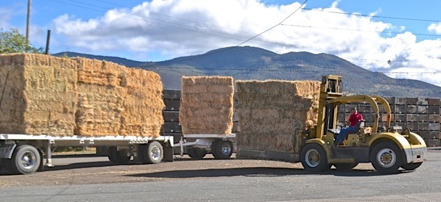 hay donation during wildfire 2015