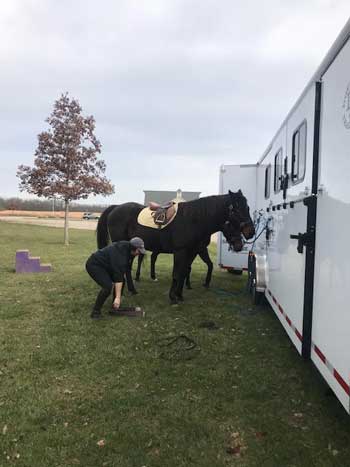 reverse horse trailer