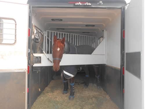 reverse load horse trailer