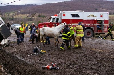 Would you know who to call if there was an emergency situation with your horse?  (This picture does not show 4HFES and NCSMART workers or techniques) Photo Credit: www.flickr.com/photos/watershedpost/5625972786/ via photopin.com, creativecommons.org/licenses/by/2.0/, cc