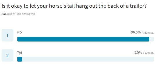 horse tail care