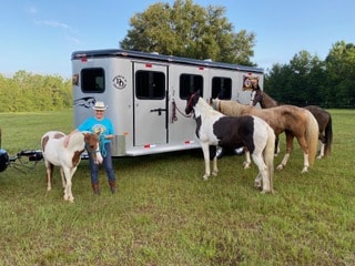 safetack 3 horse bumper pull trailer