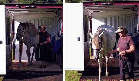 Walking a horse off the rear ramp of a Double D Trailer 