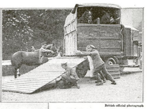 world war II horse trailer