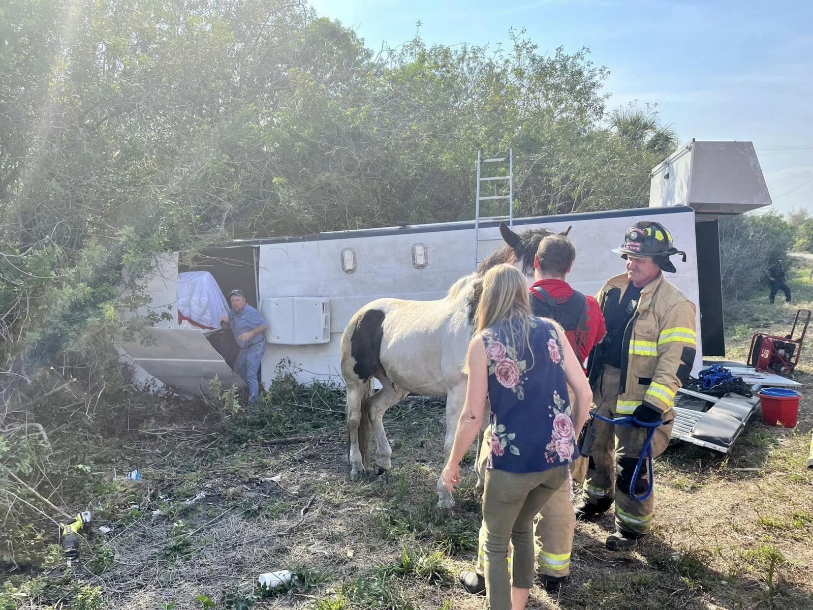 The scene of a horse trailer accident. 