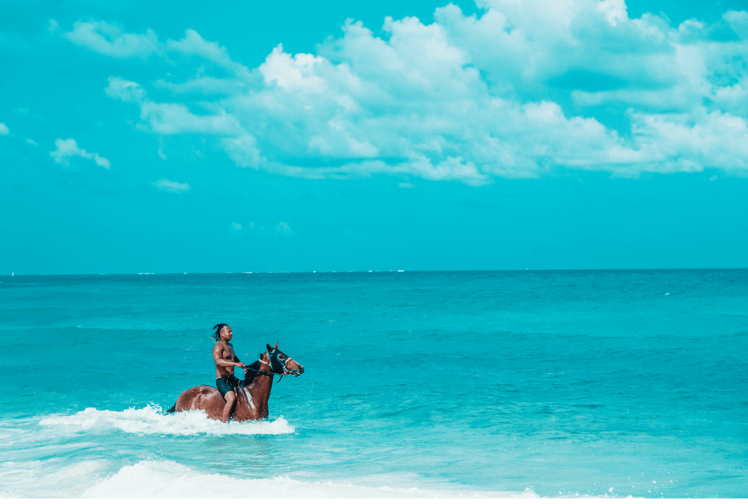 beach horseback riding in the ocean 