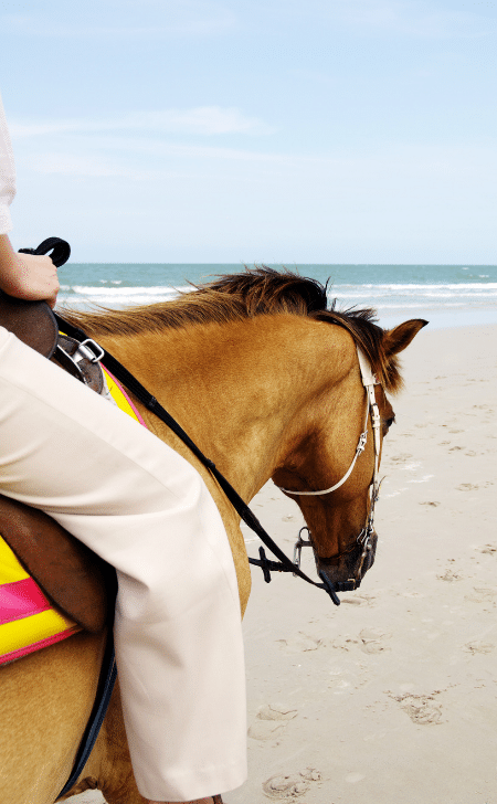 horseback riding on the beach