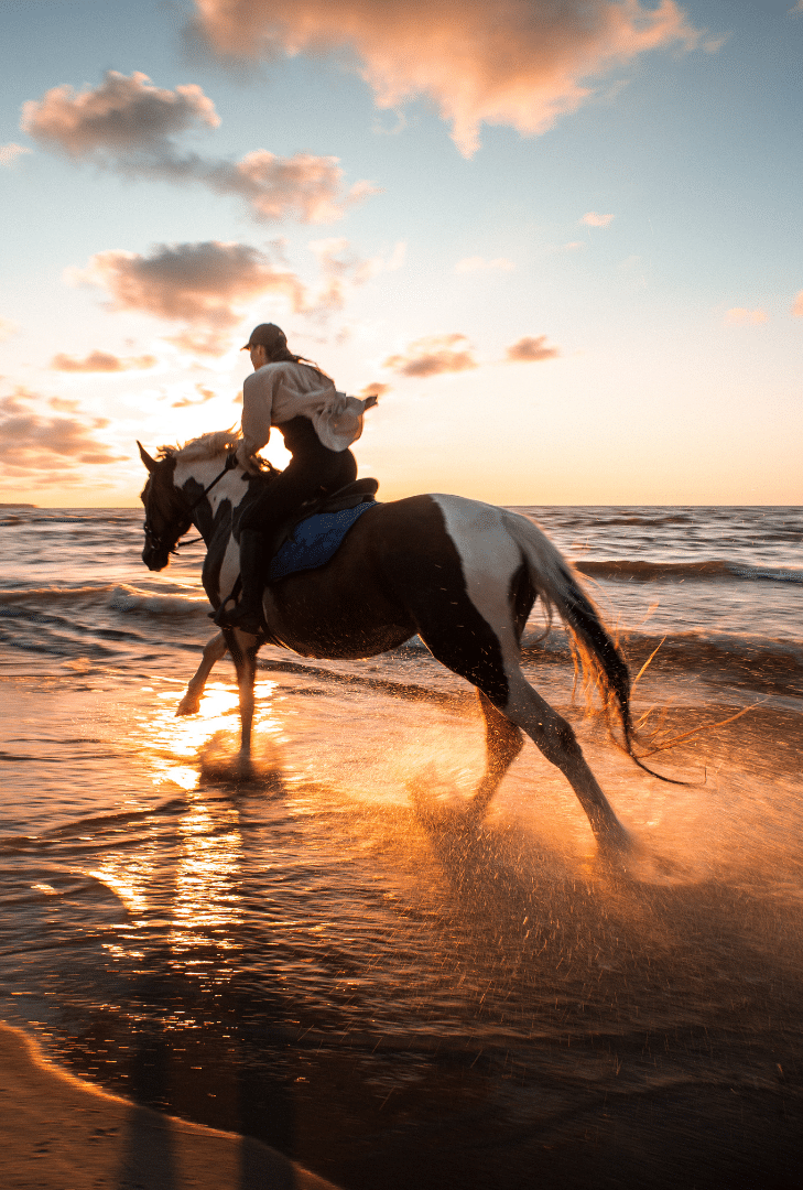 Riding a horse on the beach