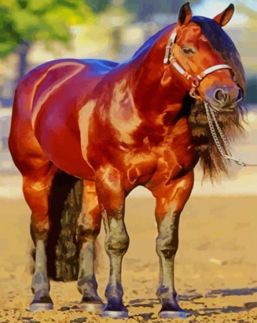 blood bay quarter horse