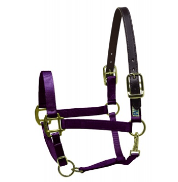 breakaway halter