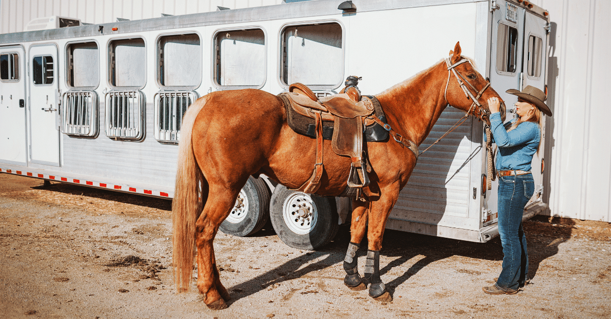 Beginner's Guide to Buying a Horse Trailer | First-Time Tips, Costs,  Mistakes