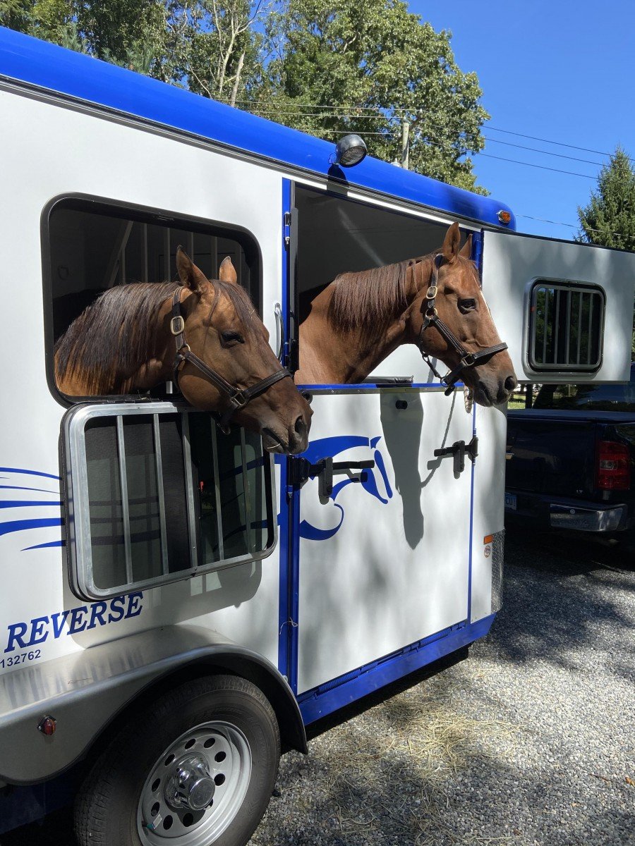 Two horses loaded onto a Double D horse trailer. 