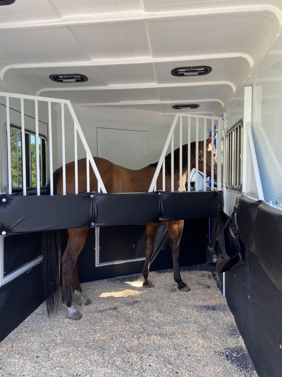 A horse loaded into a Double D horse trailer. 