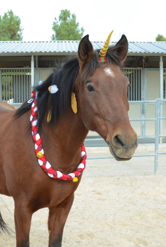 a horse dressed as a Christmas unicorn 