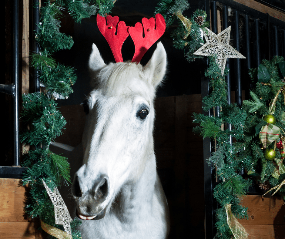 a horse in a stall with Christmas decorations