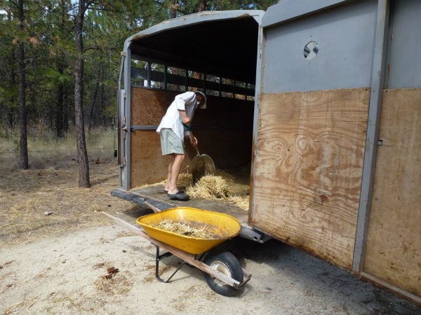 clean out your horse trailer floor