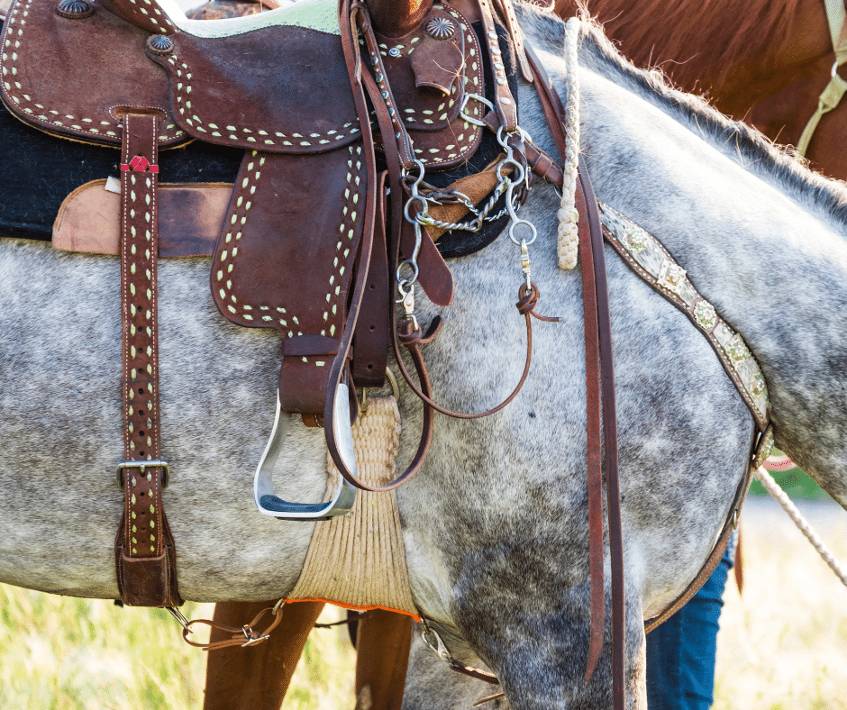 side view of a dapple horse wearing a saddle