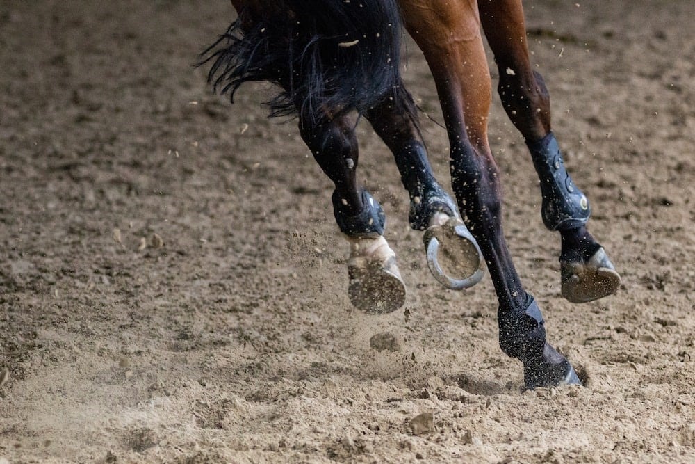 an action photo of a horses legs while they are running